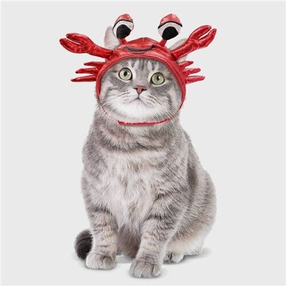 Halloween Crab Hat Cat Costume Size Small Adjustable by Hyde & EEK! Boutique NWT - Picture 1 of 6